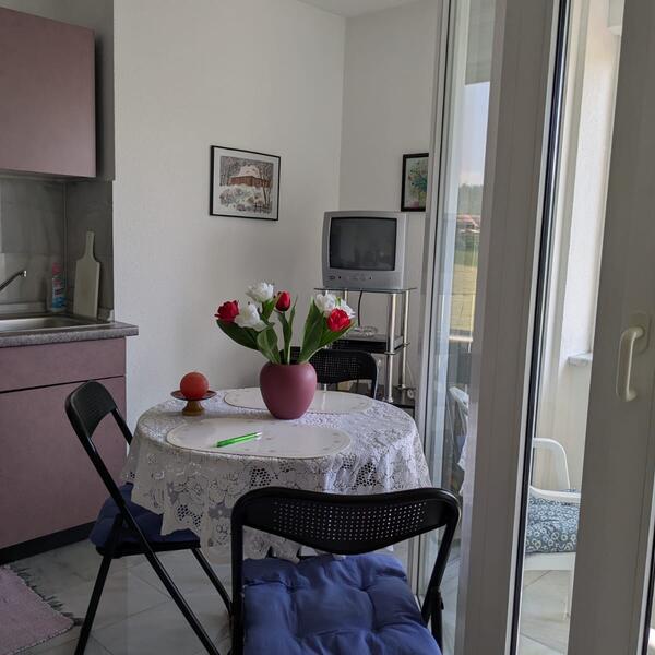 Haus Ingeborg - Südschwarzwald  Zurück zur Natur