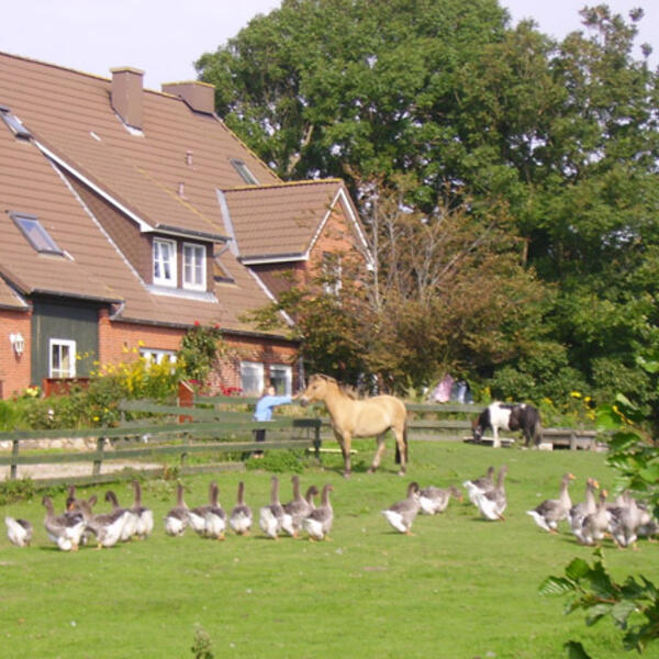 Ferienhof Op de Warft