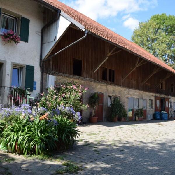 Ferien-Domizil Spieß