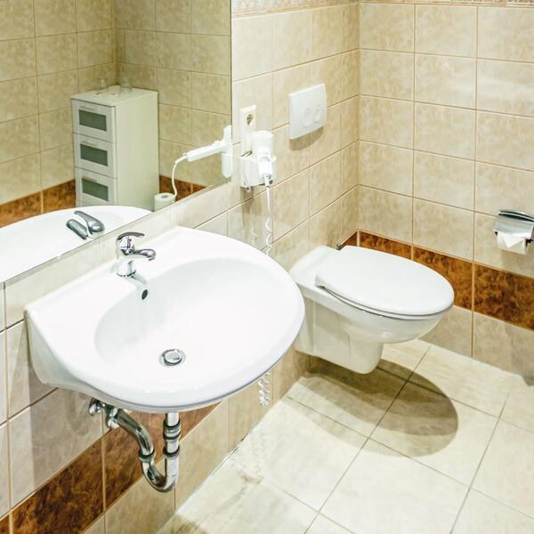 Hotel zum goldenen Löwen