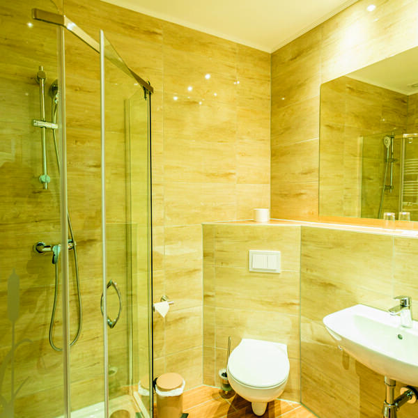 Hotel zum goldenen Löwen