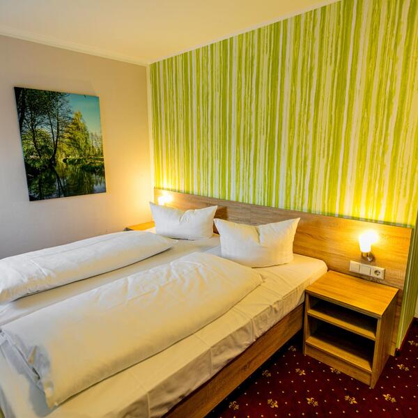 Hotel zum goldenen Löwen