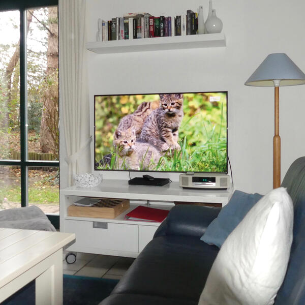 Ferienhaus Austernfischer 