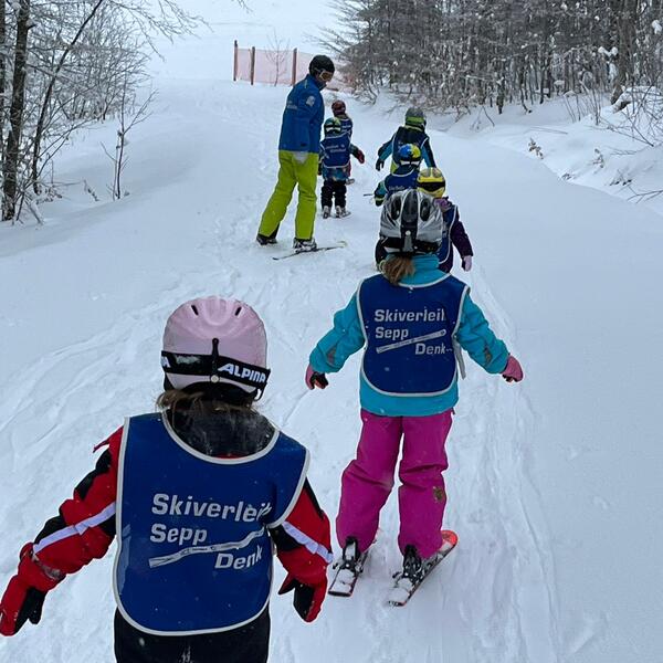 Skischule Mitterdorf