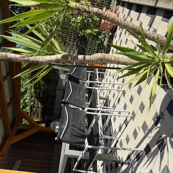 Sitzmöglichkeit im Freien