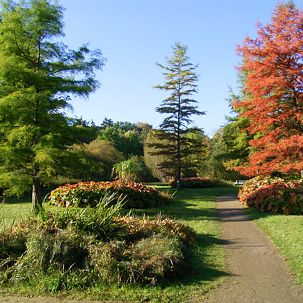 Hotel Villa im Steinbusch