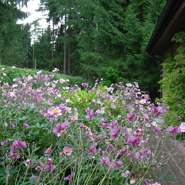 Ferienwohnung Seehase