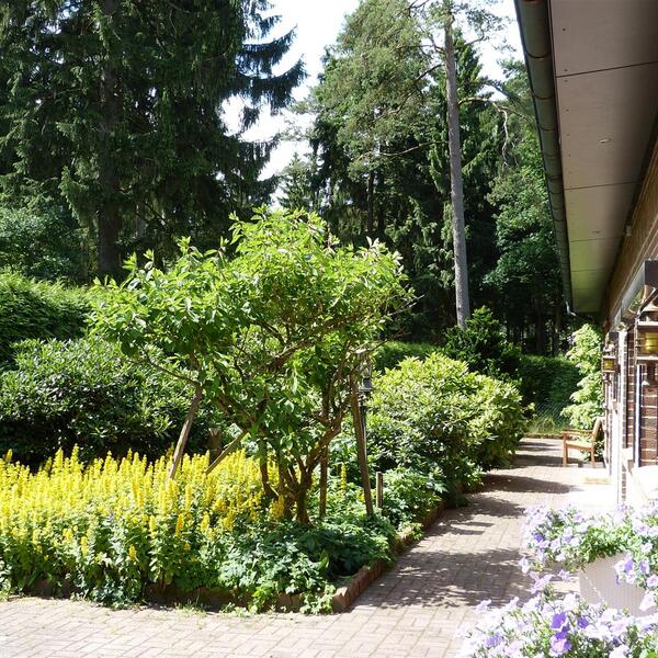 Ferienwohnung Seehase