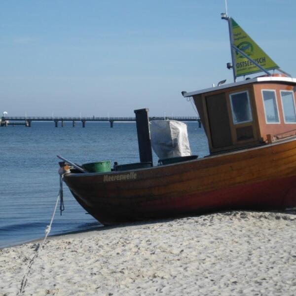 Ferienanlage Haus Roland · Fewo 1 mit Terrasse