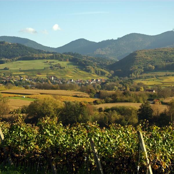 Ferienwohnung Haus Stecher