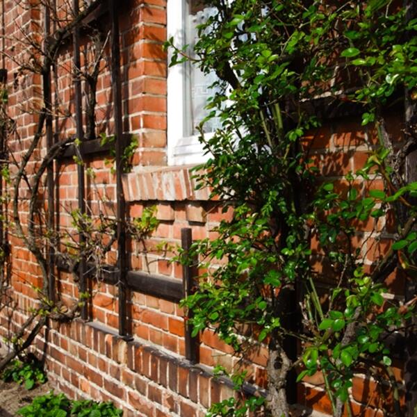 Ferienwohnungen Noah