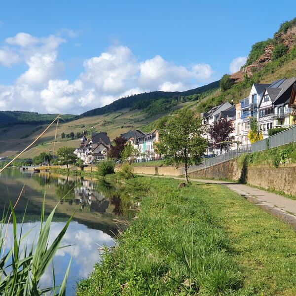 Moselrad-und Wanderweg in Zell