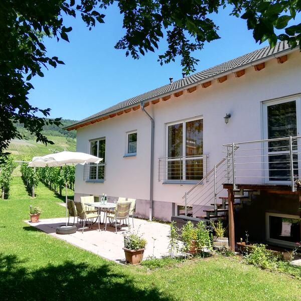 Ferien-Weingut Steuer