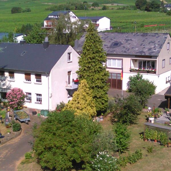 Ferien-Weingut Steuer