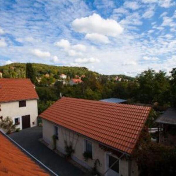 Pension Kleint - Ferienwohnung Nr. 1 "Weintraube"