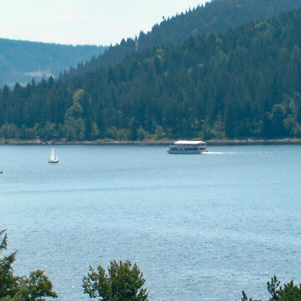 Ferienhaus Talmatten  - Schluchsee