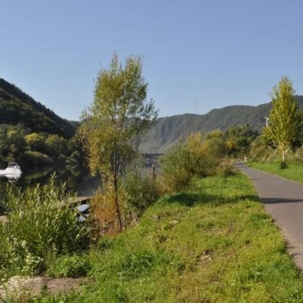 Family Camping Mesenich