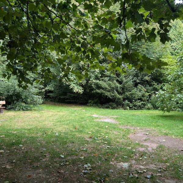 Camping Dörenther Klippen