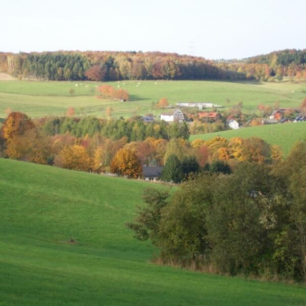 Waldhaus Eulenland , Morsbach/Sieg 