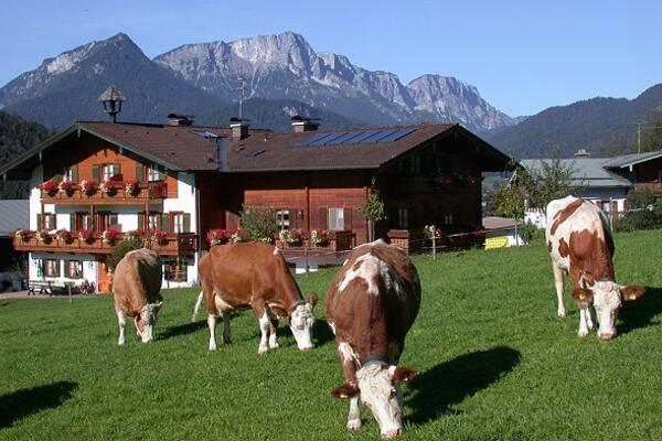 Gästehaus Aschbachhof