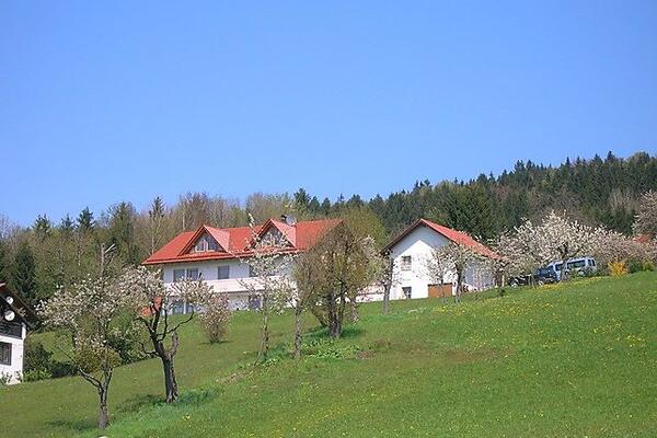 5 Sterne Zur Schönen Aussicht