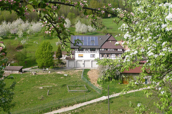 5 Sterne Jägerhof Benz