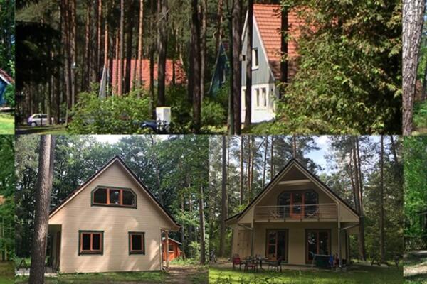 Waldpark am Roofensee