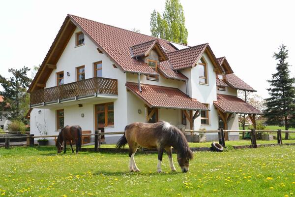 Reiterparadies Talhof