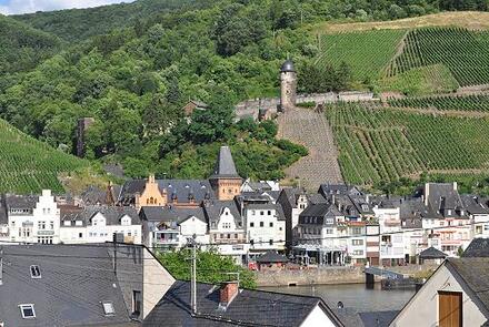 Ferienwohnung Mesenich
