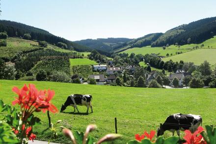 Bauernhof Familie Gördes