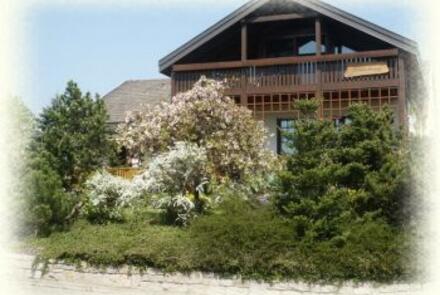 Ferienhaus Steinhäuser