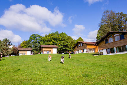 Gutshotel Feuerschwendt