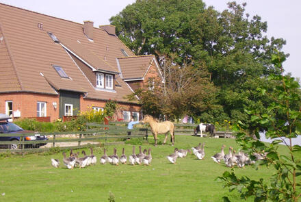 Ferienhof Op de Warft