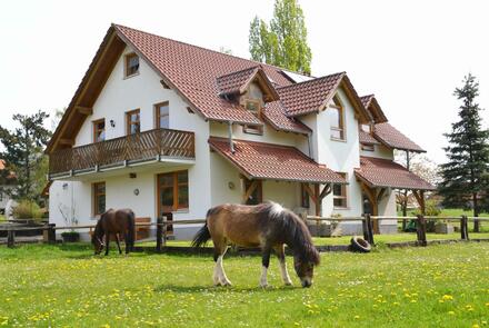 Reiterparadies Talhof