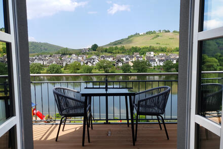 Ferienwohnungen Hallenbach in Zell Mosel