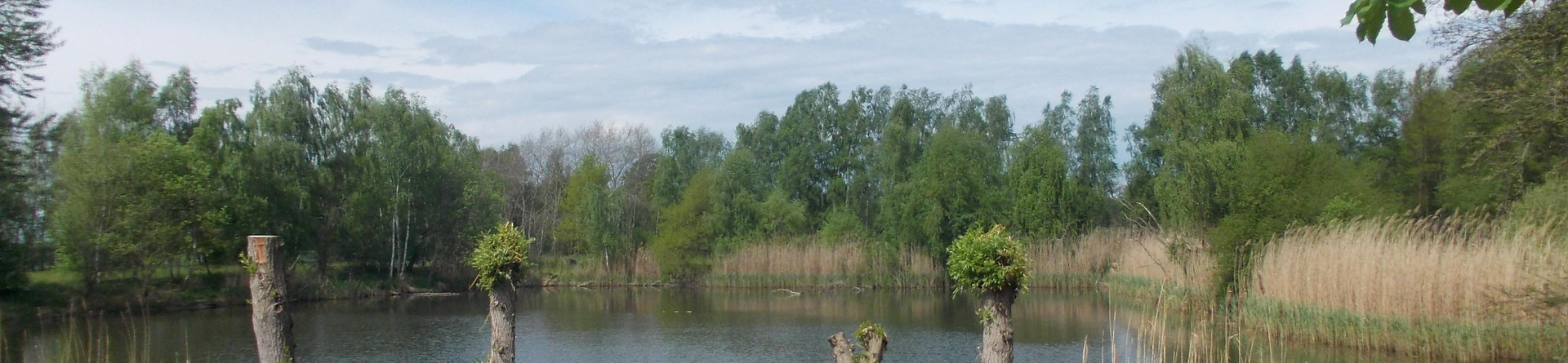 Naturpark Dübener Heide