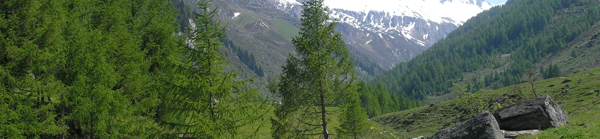 Tauferer Ahrntal