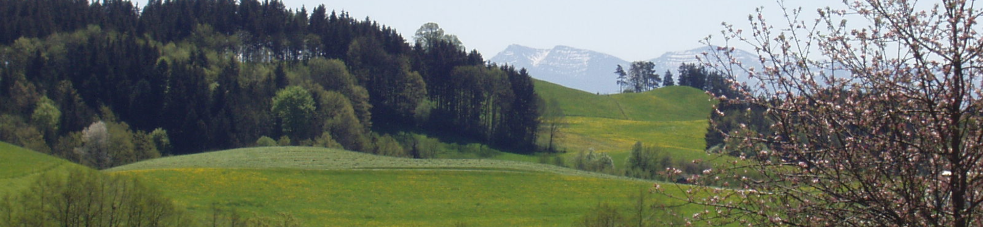 Westallgäu