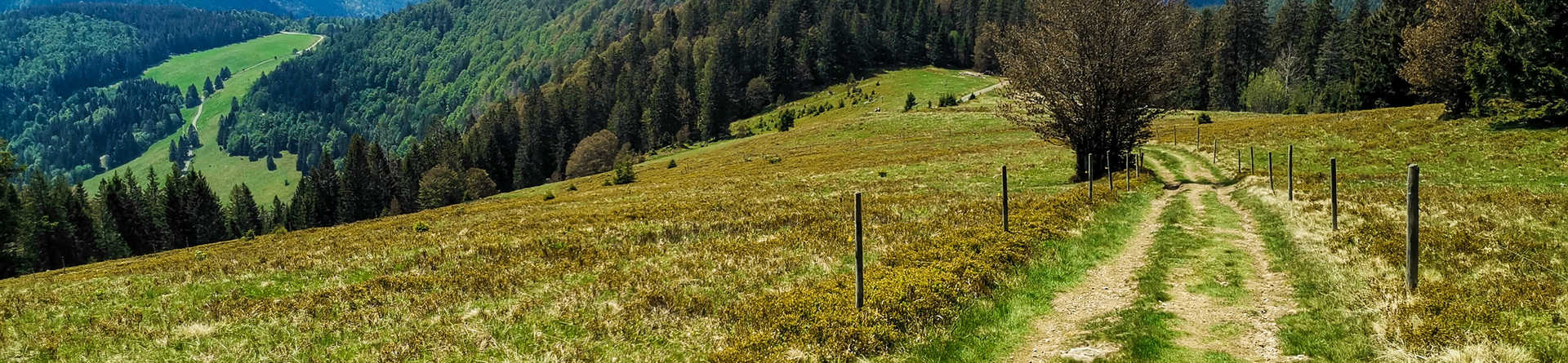 Bernau im Schwarzwald