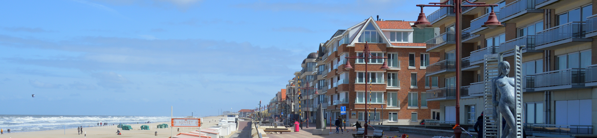 de haan