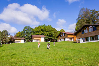 Gutshotel Feuerschwendt