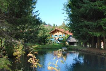 Ferienhaus Mitterdorf