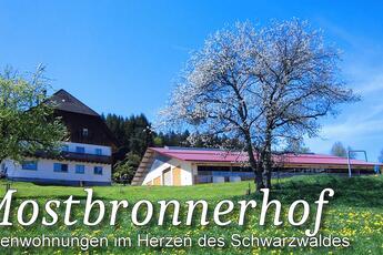 Mostbronnerhof 